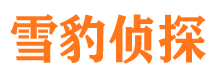 古丈寻人公司